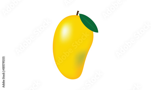 Tropical summer mango fruit vector illustration.