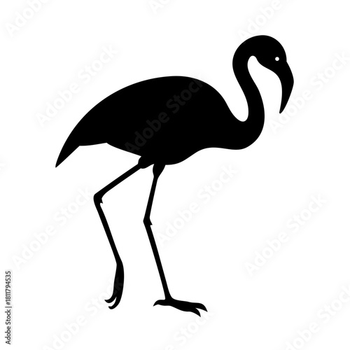 Exploring the Graceful Elegance of the Majestic Stork Bird exploring the graceful elegance of majestic stork bird