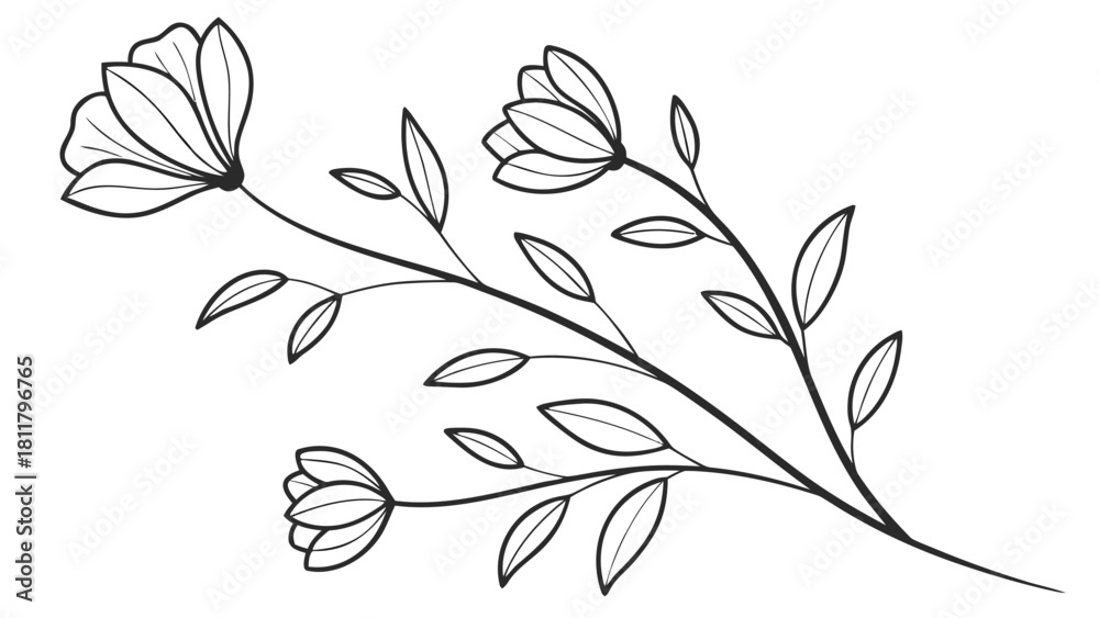 Fototapeta premium Floral branch, line art flowers, minimalist botanical, black and white illustration, vector graphics