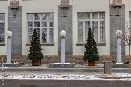 Fototapeta Naklejka Na Ścianę i Meble -  Two small trees in front of a building with snow on the ground