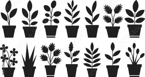 Potted houseplants collection, indoor plant silhouette set, decorative leaves and flowers, gardening illustration, cad drawing flat vector illustration