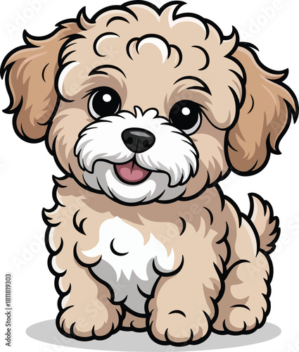 Cute cartoon a illustrator vector Maltipoo