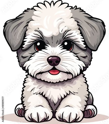 Cute cartoon a illustrator vector Maltipoo