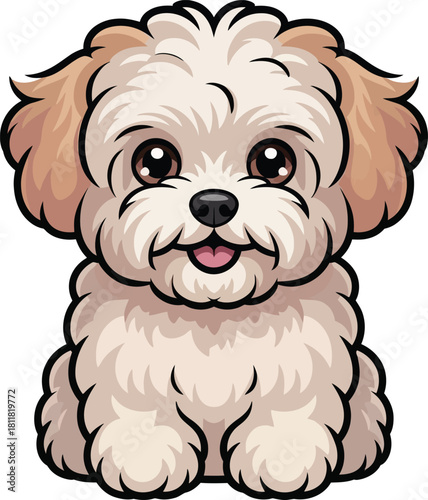 Cute cartoon a illustrator vector Maltipoo