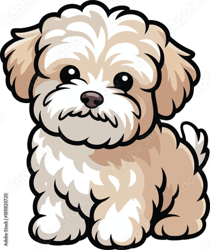 Cute cartoon a illustrator vector Maltipoo