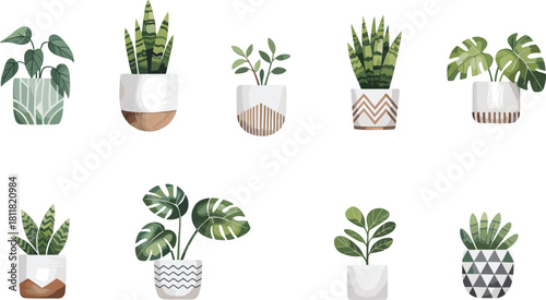 Modern indoor houseplants collection, tropical foliage leaves, decorative pots design, natural greenery decor, botanical illustration, cad drawing flat vector illustration