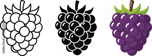 Blackberry icon set isolated on white background, Vector, illustration