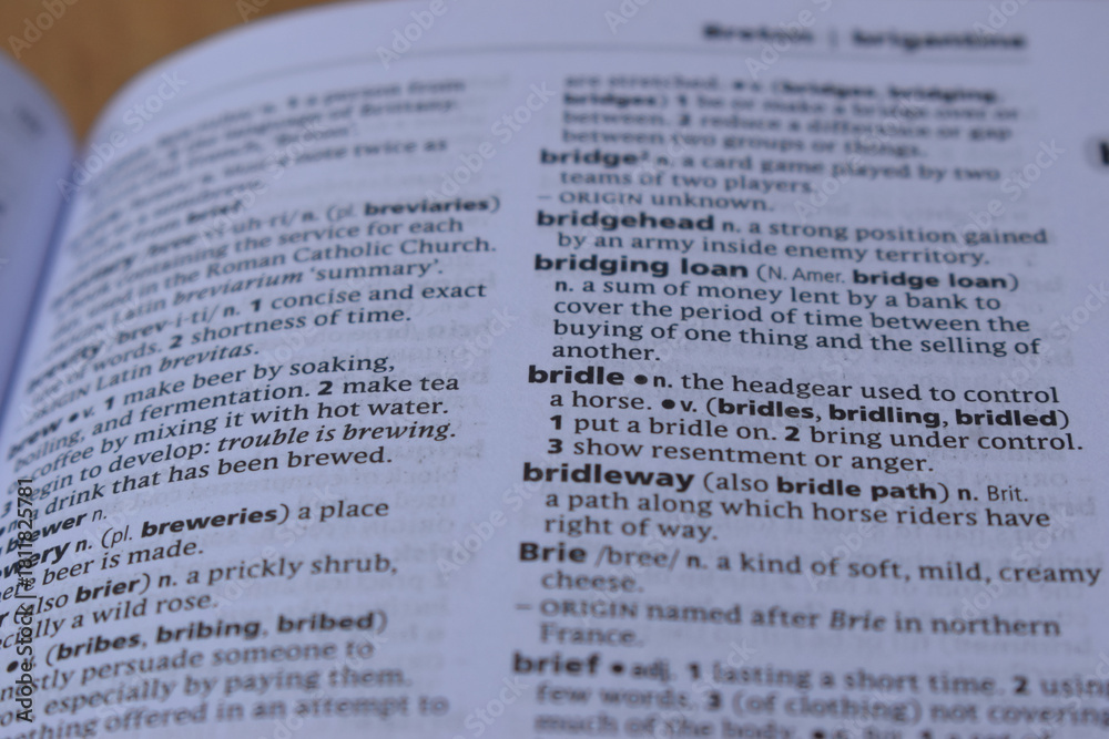 Obraz premium Close Up Of English Definition Dictionary Page Word Of - bridle
