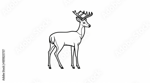 Deer silhouette illustration