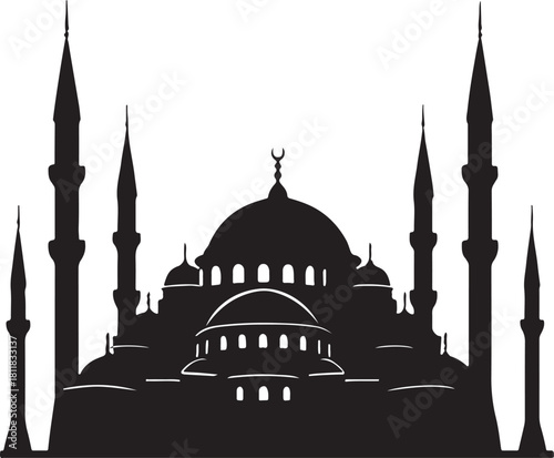 blue mosque in istanbul