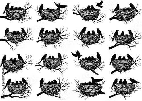 Set of black bird silhouettes sitting in nests on branches feeding chicks, vector illustration collection for spring nature and wildlife design