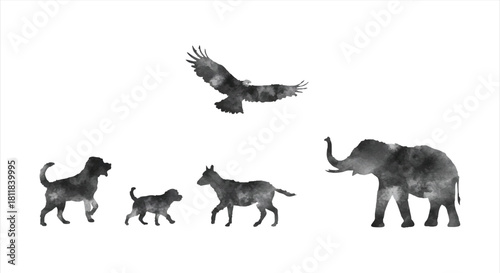 Diverse group of wildlife and domestic animals, including an elephant, dogs, a donkey, and an eagle, rendered in a striking monochrome watercolor art style.