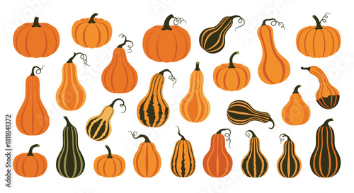 Diverse collection of various orange and green pumpkins and gourds perfect for autumn decorations Thanksgiving and Halloween.