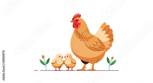 Adorable mother hen with her two cute chicks walking peacefully together in a natural outdoor setting on a farm.