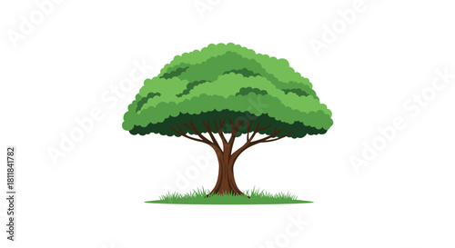 Majestic lush green tree with a broad canopy standing tall on a patch of grass symbolizing nature's beauty and ecological importance.