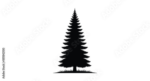 Striking silhouette of a tall evergreen pine tree standing majestically against a simple background symbolizing natural strength.