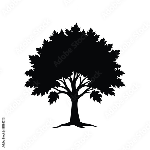 Stylized maple tree silhouette on a clean white background
