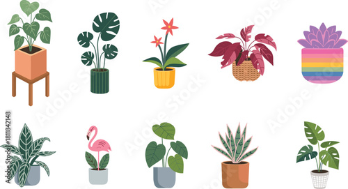 Colorful indoor houseplants in pots, tropical leaves decoration, modern plant illustration, home decor greenery art, cad drawing flat vector illustration