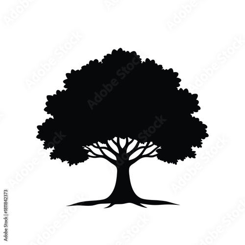 Majestic oak tree silhouette isolated on white background