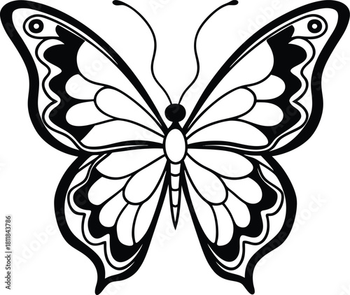Butterfly outline drawing with detailed wing patterns vector