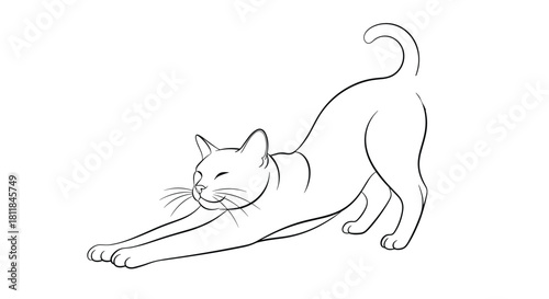 Elegant and simple black and white line art illustration of a graceful cat in a full body stretching pose with its eyes closed.