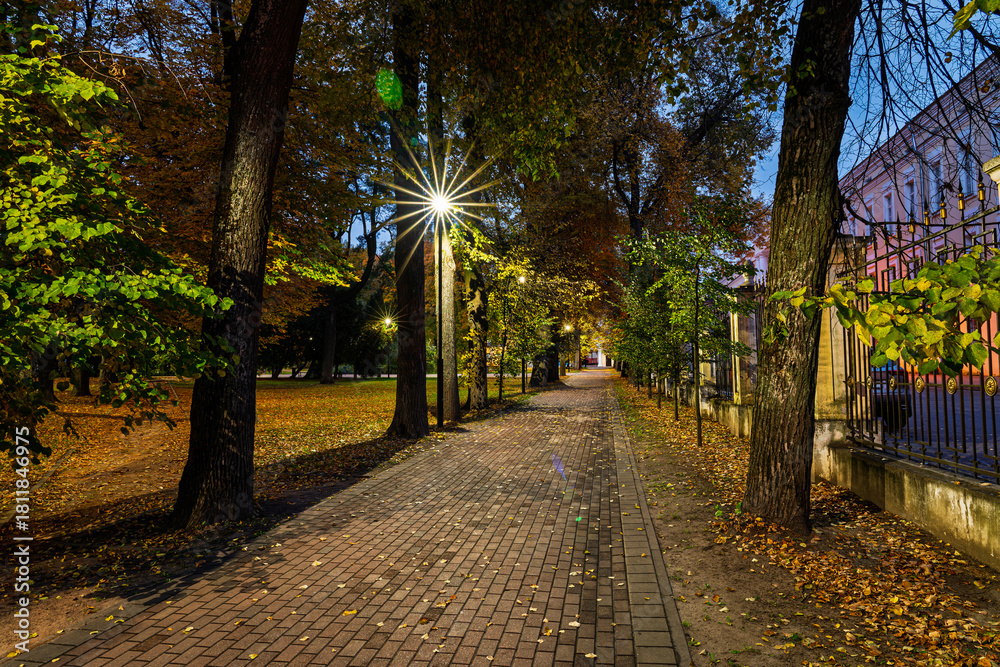 Fototapeta premium Evening view of park alley illuminated with string lights, creating a magical atmosphere for holidays and celebrations, an autumn night scene.