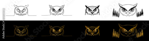 Progression of owl head illustrations from simple line art to detailed glowing designs.