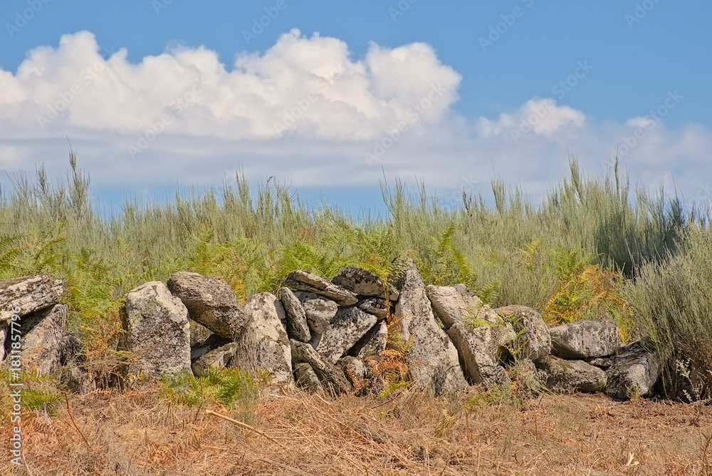 Naklejka premium Remains of a pre celtic wall built of big rocks. Montalegre, Portugal 
