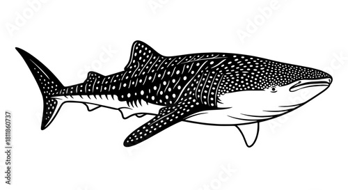 Detailed Whale Shark Illustration Swimming in Blue Ocean - Marine Wildlife in Aquatic Environment, Isolated Graphic Design for Educational Materials, Biology, Conservation Awareness, Print, Pattern, M