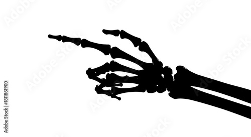 Anatomical Skeleton Hand Pointing: Medical Visualization in High Contrast White Studio Backdrop for Educational Resource, Halloween Theme, Forensic Science Presentation, Dark Anatomy, Bone Structure,