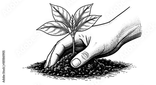 Hand Planting Young Sapling in Soil, Nurturing New Growth in a Garden Setting, Symbolizing Ecology, Sustainability, and Environmental Conservation, Detailed Black and White Engraving Style Illustratio