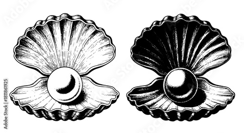 Open Seashell Pearl Illustration in Monochrome: Vintage Engraving of Bivalve Mollusk Displaying Gem, Symbolizing Luxury, Marine Life, and Rarity for Jewelry Design, Fashion, Wedding Invitations, and S