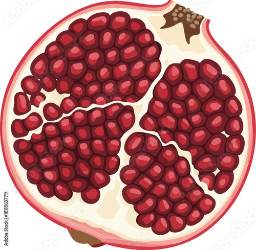 Illustration of a pomegranate cut open, revealing its juicy red arils and white pith on a plain white background.