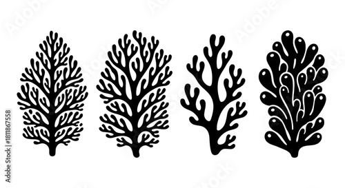 Stylized Seaweed Collection Isolated on White Background for Marine Biology Education & Coastal Decor: Abstract Algae Illustrations for Scientific Presentations & Modern Ocean-Themed Design, Aquatic F
