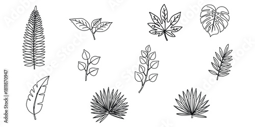 Hand-Drawn Leaf Doodle Collection –  Minimal Botanical Elements”
