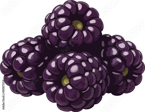A realistic illustration of a pile of blackberries with a green center, against a clean white background with a dark purple color.