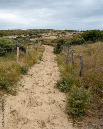 Sandy path winding through dunes in wassenaar, netherlands