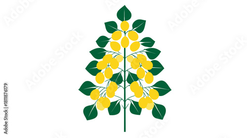 Stylized vector illustration of a botanical plant with green leaves and vibrant yellow fruits or berries, isolated on white background.