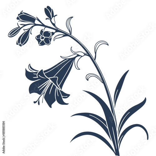 antirrhinum defiance on white background 