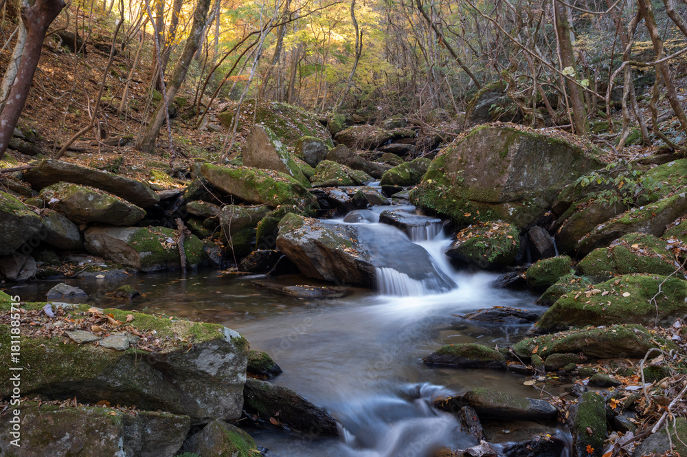 Fototapeta premium 晩秋の滝川渓谷の流れと紅葉