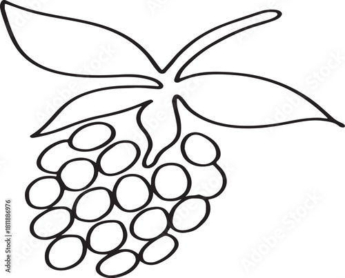 Blackberry Fruit Outline Vector Icon Illustration on a White Background Suitable for Design Projects Websites and Mobile Applications Simple and Clean