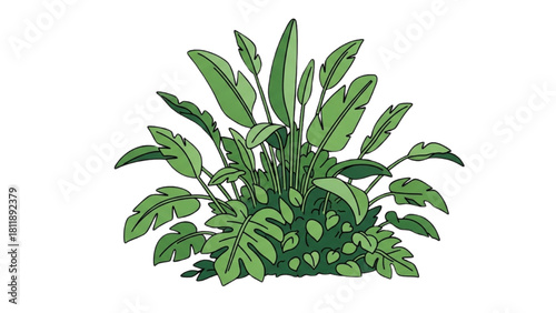 Illustration of Tropical Plant Foliage A Detailed Vector Graphic Design