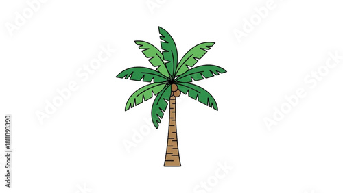 Simple cartoon illustration of a tropical palm tree with lush green leaves isolated on a white background