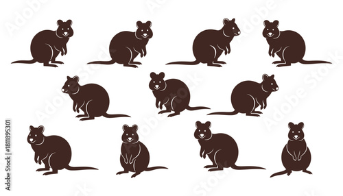 A set of cute quokka silhouette vector illustration