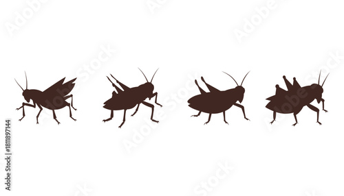 A collection of black grasshopper silhouette vector illustration