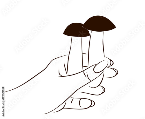 The sketch of mushrooms in hand.
