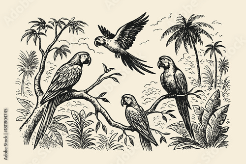 Detailed vintage sketch of three tropical macaws perched on a branch under palm trees, capturing exotic birds and nature in a classic vintage monochrome vector illustration.