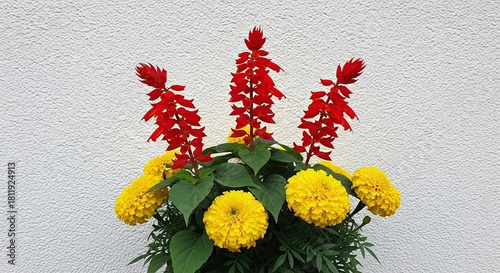 Bright Red Salvia and Yellow Marigolds Blooming Together in a Potted Display