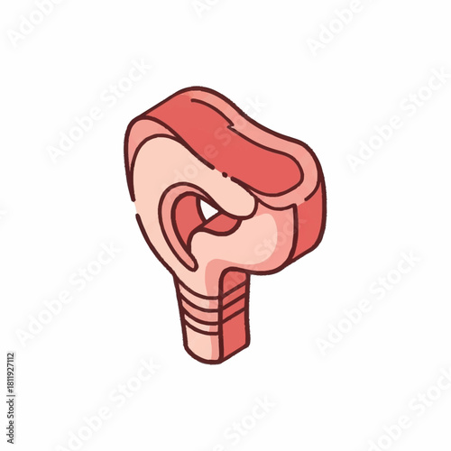 Cartoon illustration of a raw T bone steak with bone.