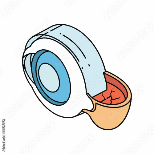 Cross section of the human eye showing internal structures and layers.